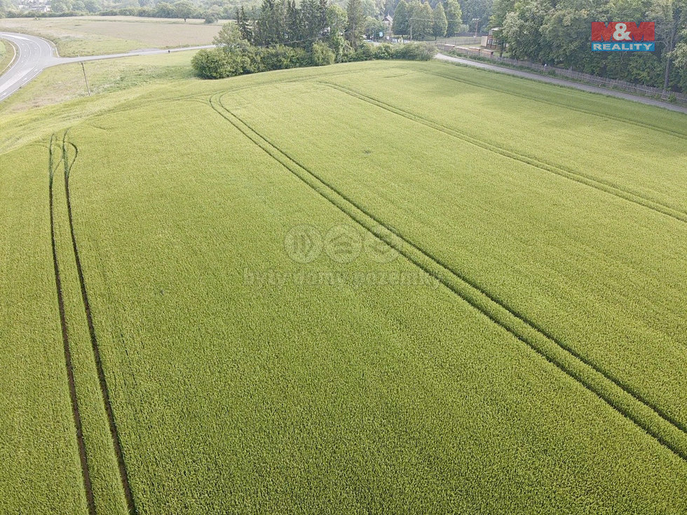 Prodej zemědělské půdy 10638 m², Opočno