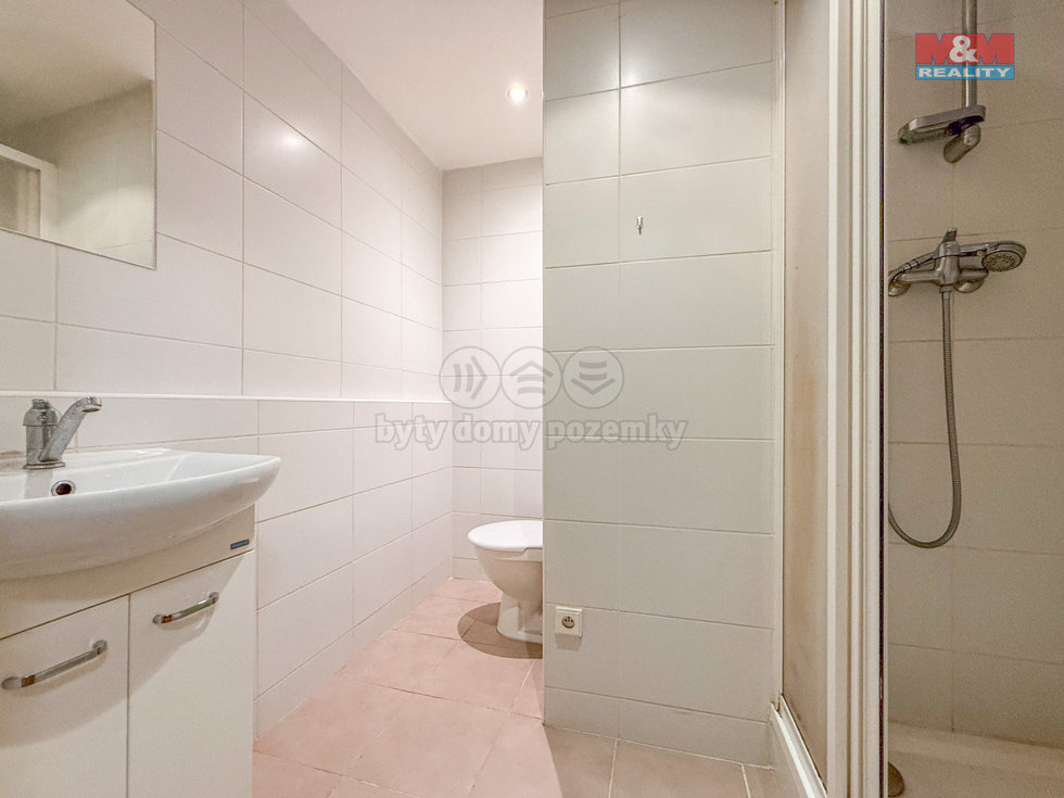 Pronájem bytu 1+1 38 m², Ostrava