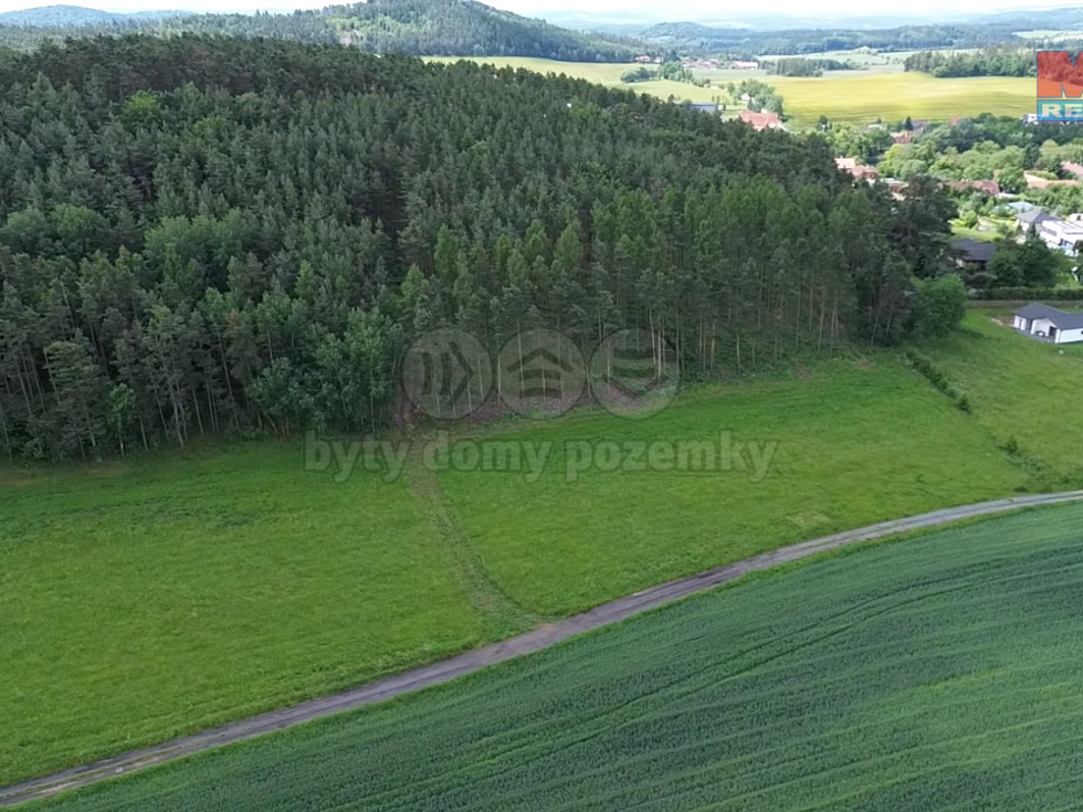 Prodej lesa 3372 m², Chotilsko