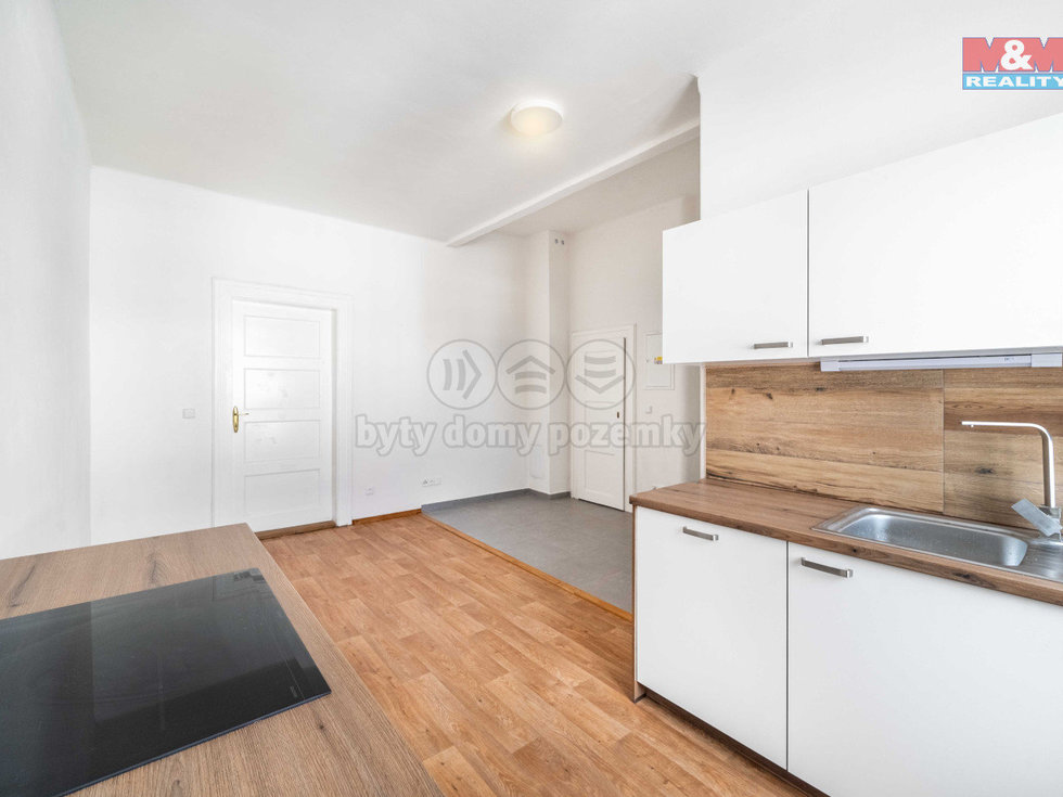 Pronájem bytu 1+1 60 m², Plzeň