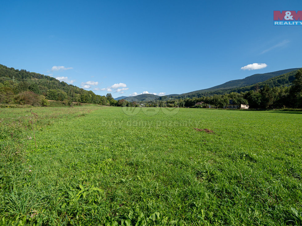 Prodej zemědělské půdy 25164 m², Spělkov