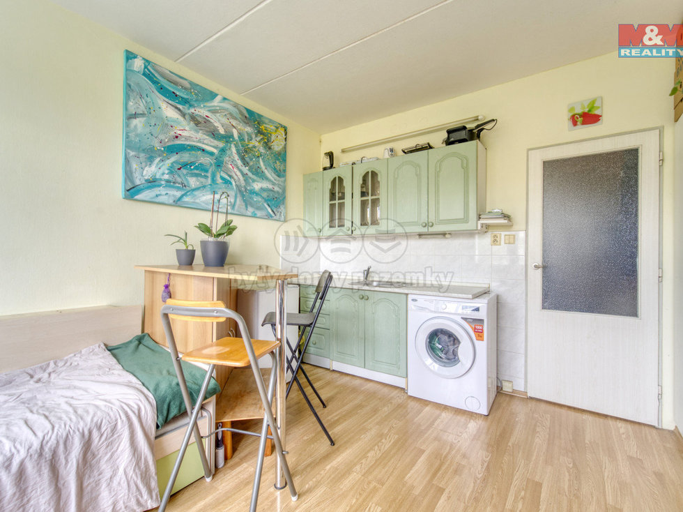 Pronájem bytu 1+kk, garsoniery 20 m², Plzeň