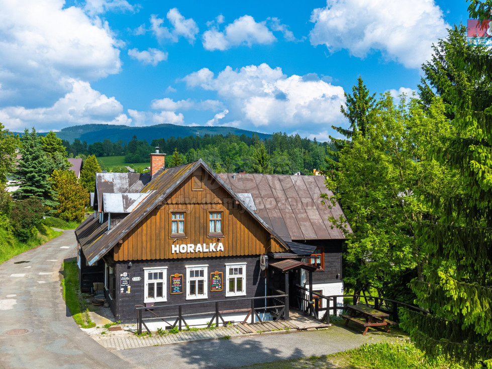 Prodej hotelu, penzionu 374 m², Rokytnice nad Jizerou