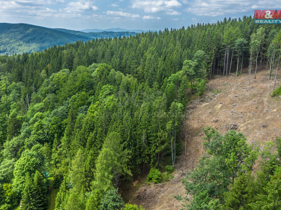 Prodej lesa 6696 m², Tanvald