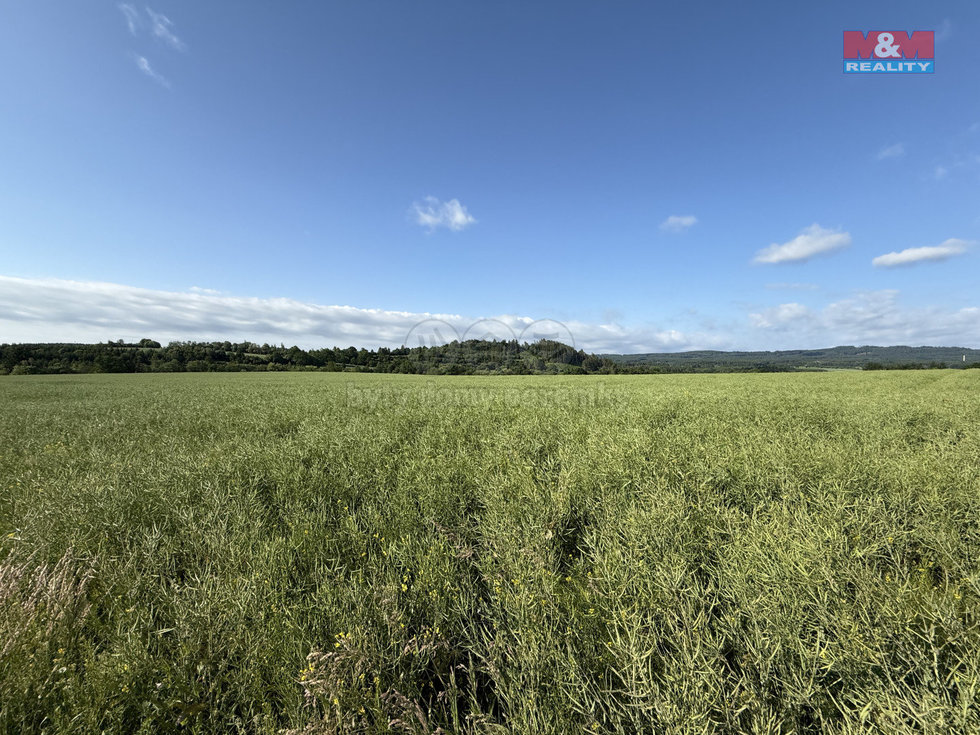 Prodej zemědělské půdy 8056 m², Rožmitál pod Třemšínem