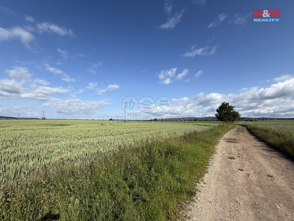 Prodej zemědělské půdy 11877 m², Rožmitál pod Třemšínem