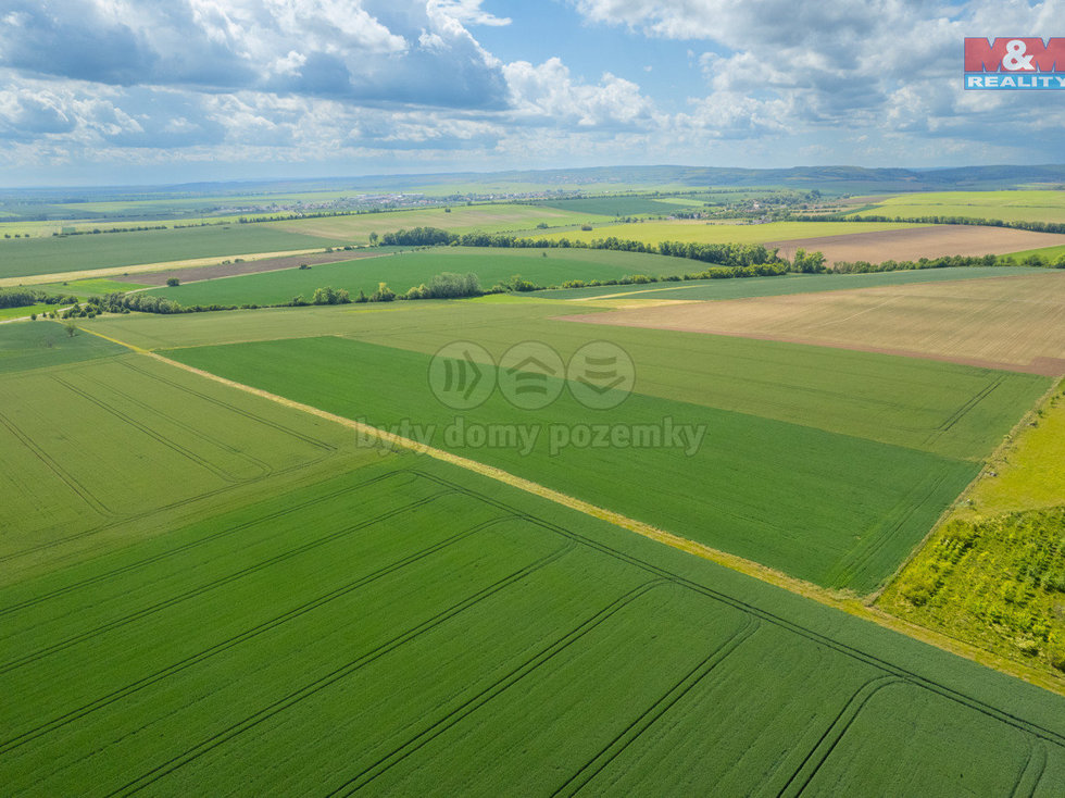 Prodej zemědělské půdy 37901 m², Šumice