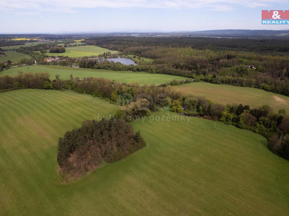 Prodej lesa 7342 m², Borohrádek