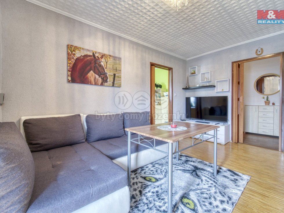 Prodej bytu 3+1 60 m², Líně