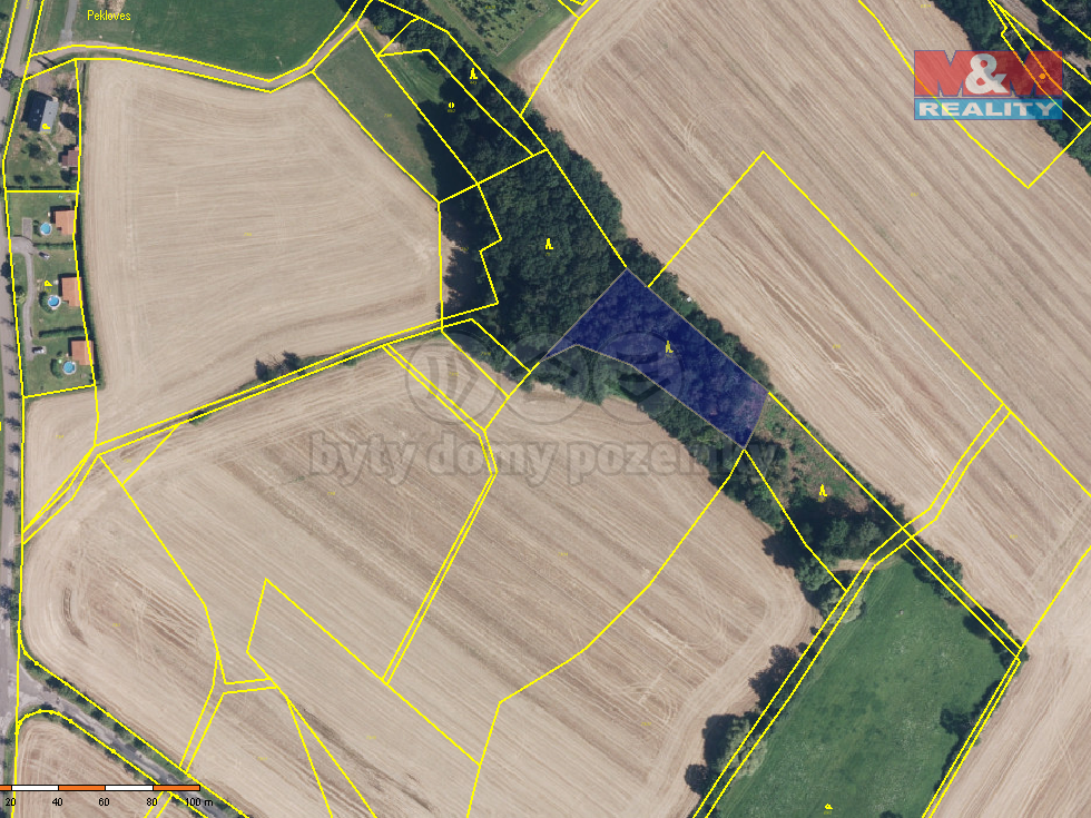 Prodej lesa 2585 m², Železnice