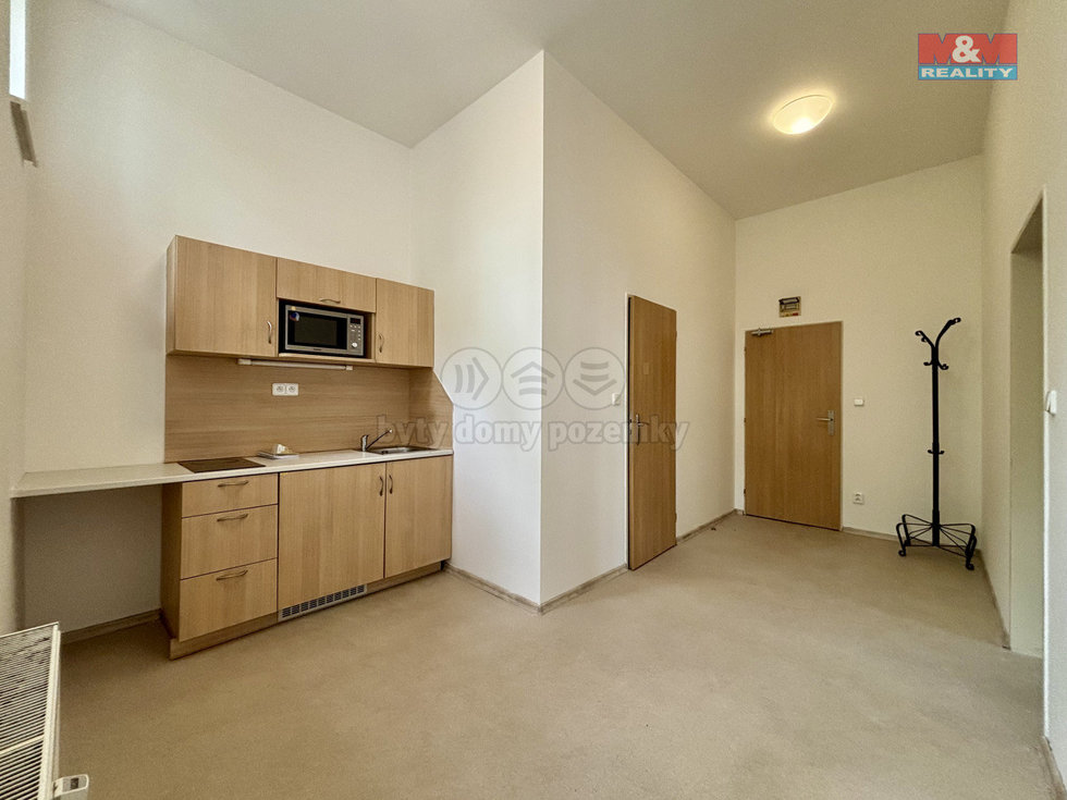 Pronájem bytu 1+1 46 m², Ostrava