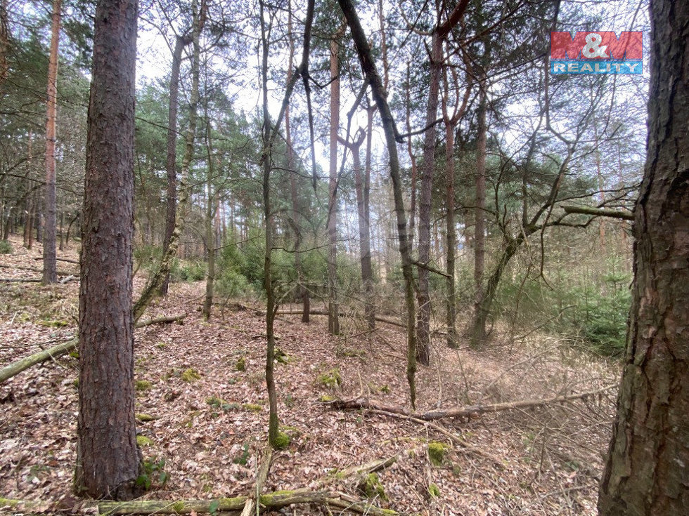 Prodej lesa 2768 m², Miloňovice