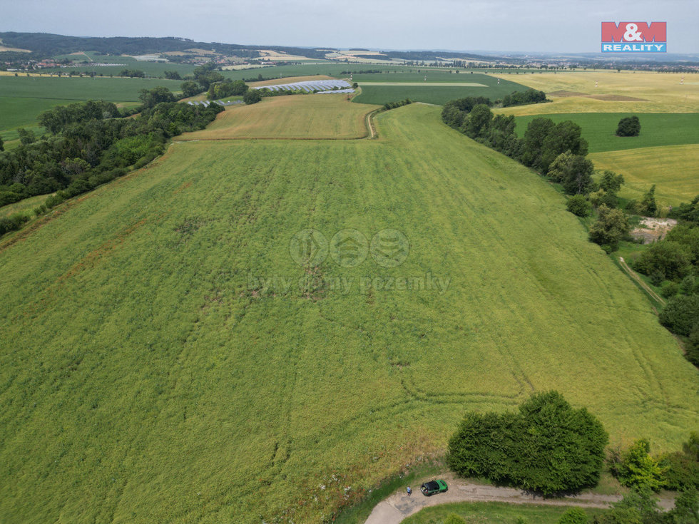Prodej zemědělské půdy 10932 m², Prostějov
