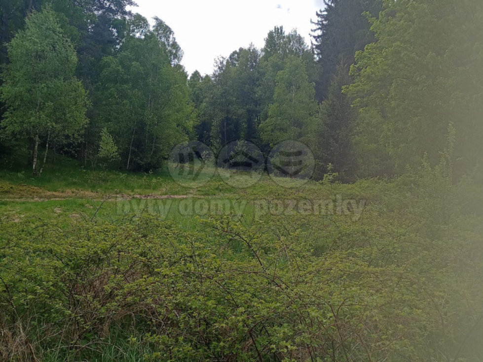Prodej lesa 4526 m², Dlouhý Most