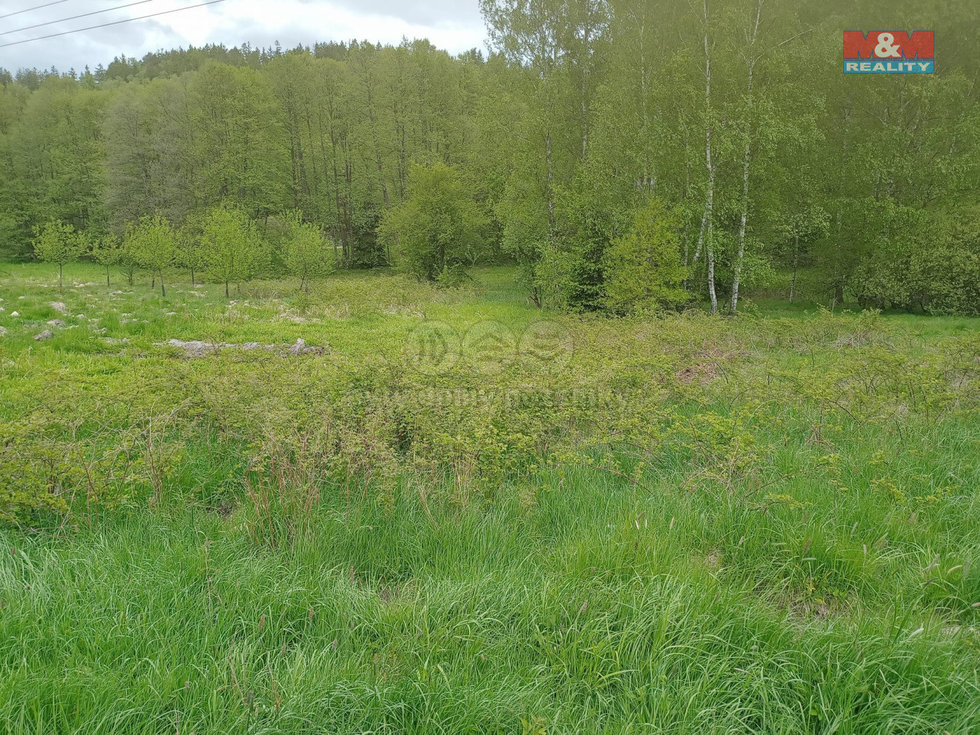 Prodej louky 6962 m², Kořenov