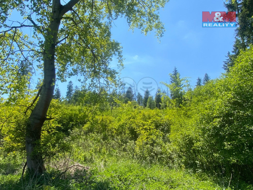 Prodej lesa 15167 m², Kropáčova Vrutice