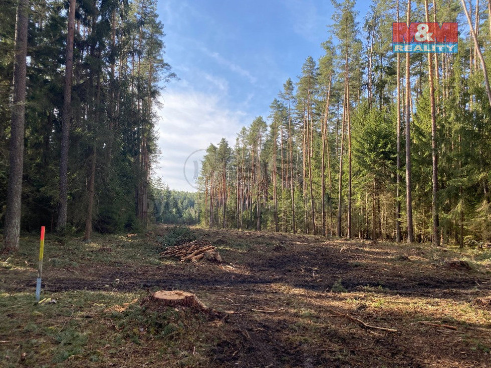 Prodej lesa 7764 m², Újezdec