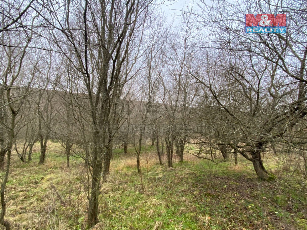 Prodej lesa 11619 m², Šarovy