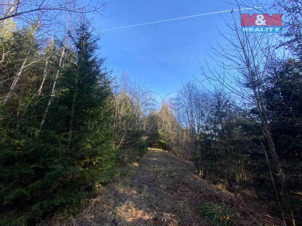 Prodej lesa 11769 m², Ústí