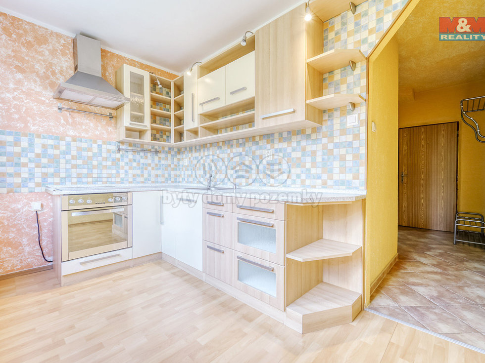 Pronájem bytu 1+1 38 m², Plasy