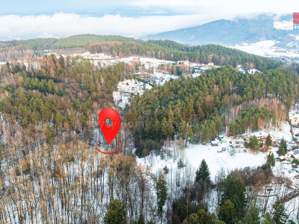 Prodej lesa, Mírová pod Kozákovem