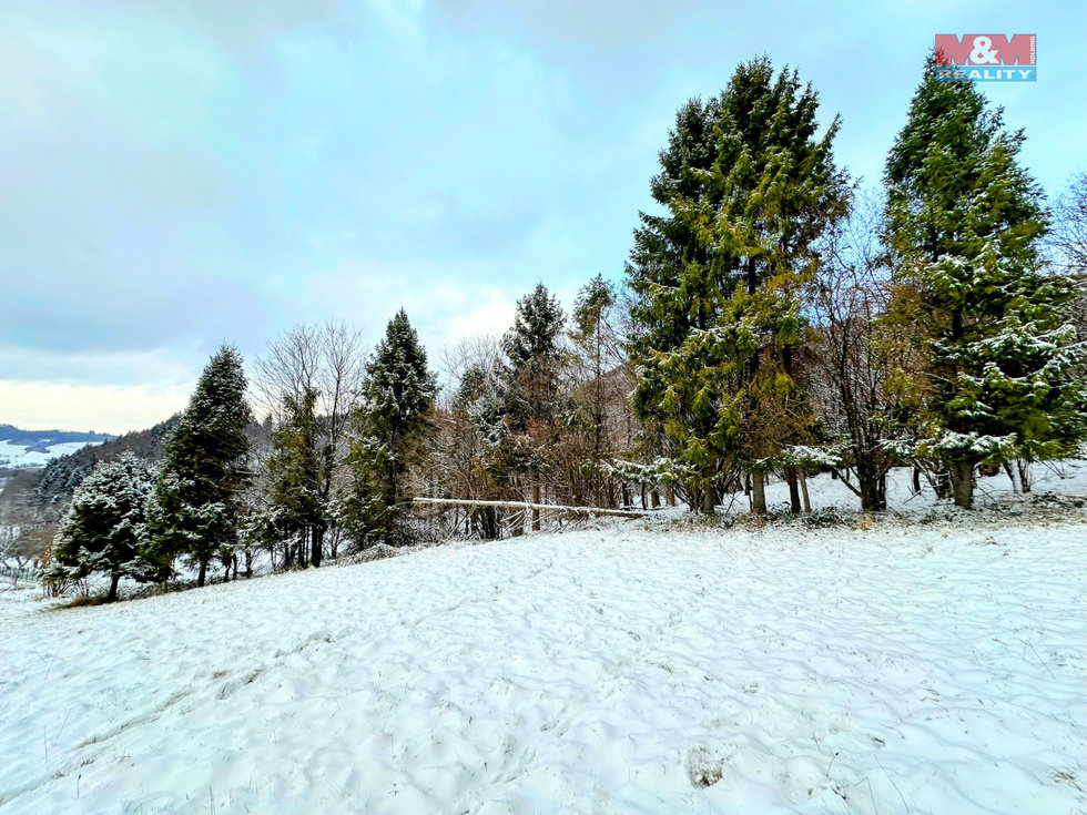 Prodej ostatních pozemků, Kozlovice