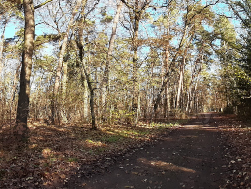 Prodej stavební parcely, Hradištko