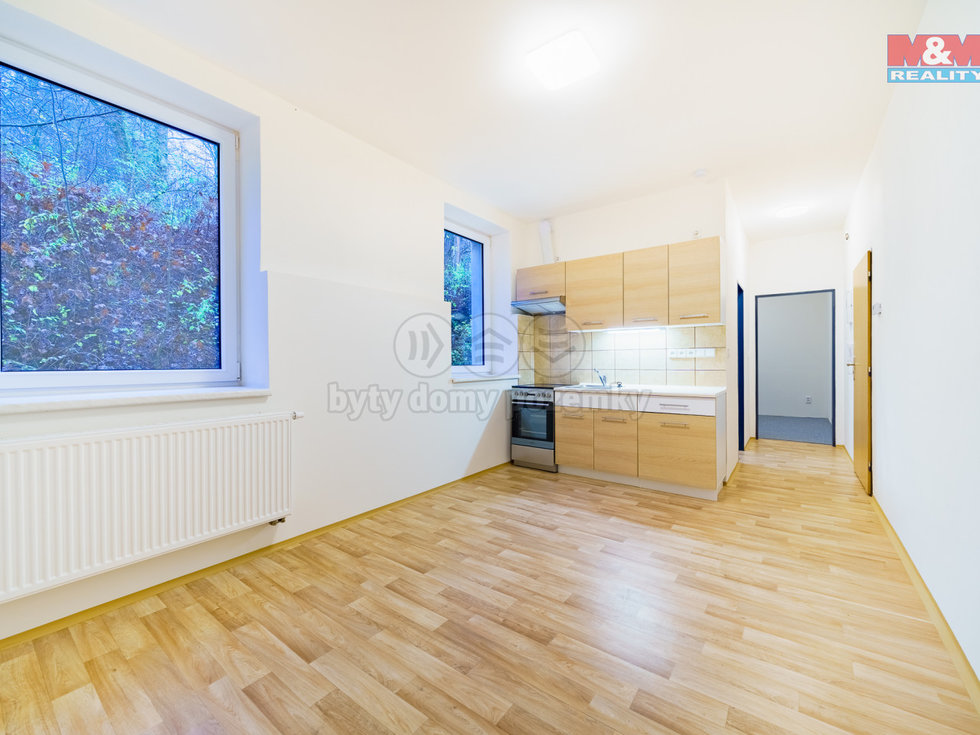 Pronájem bytu 2+kk 32 m², Aš