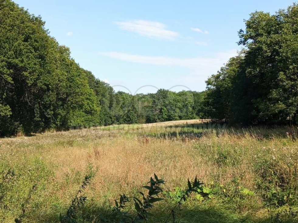 Prodej stavební parcely, Řisuty