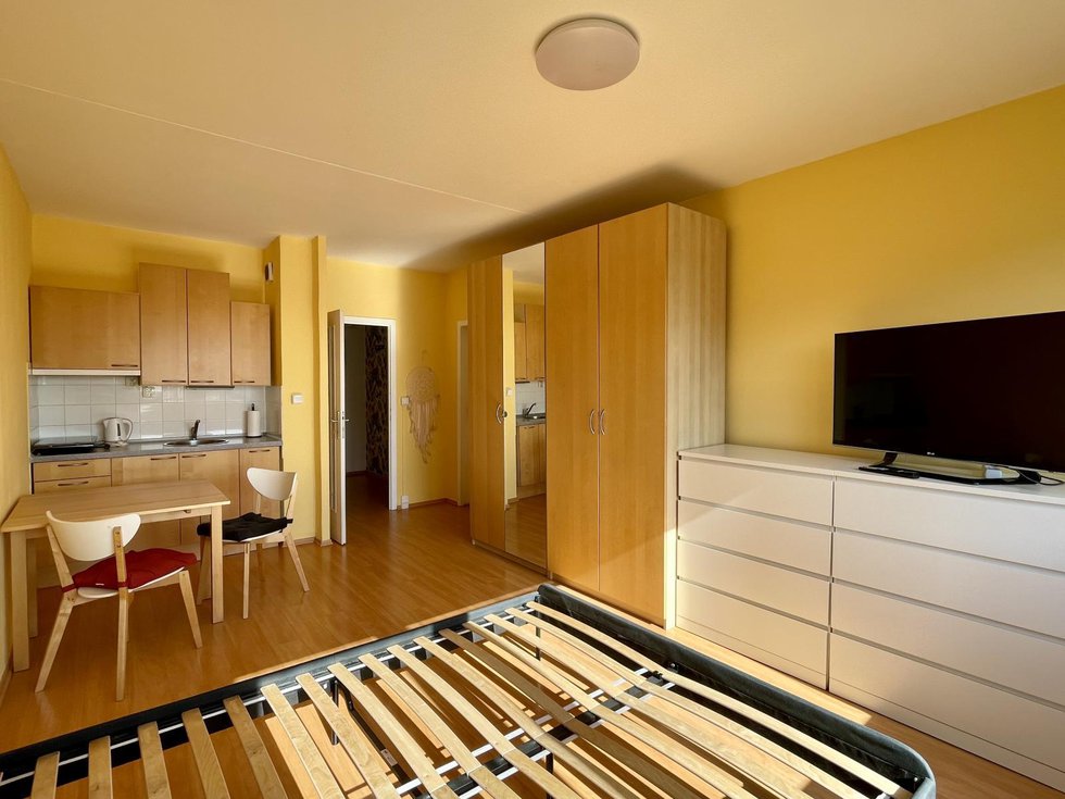 Pronájem bytu 1+kk, garsoniery 30 m², Praha