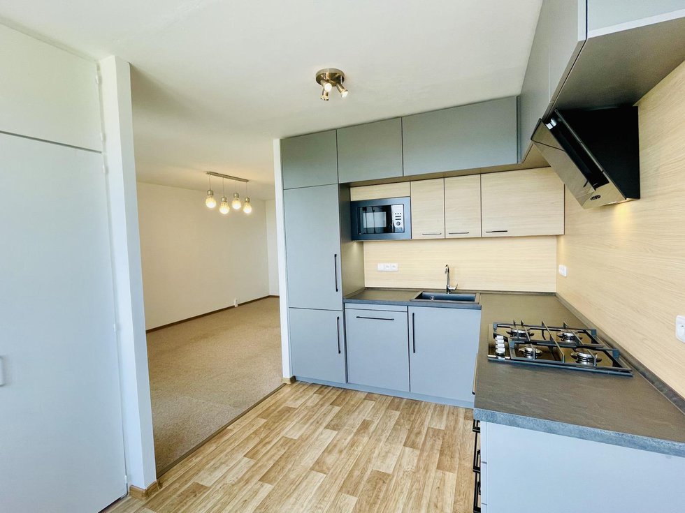 Pronájem bytu 3+1 69 m², Praha
