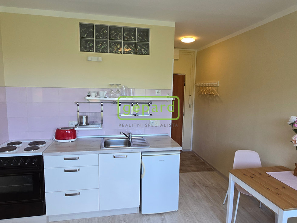 Pronájem bytu 1+1 36 m², Český Krumlov