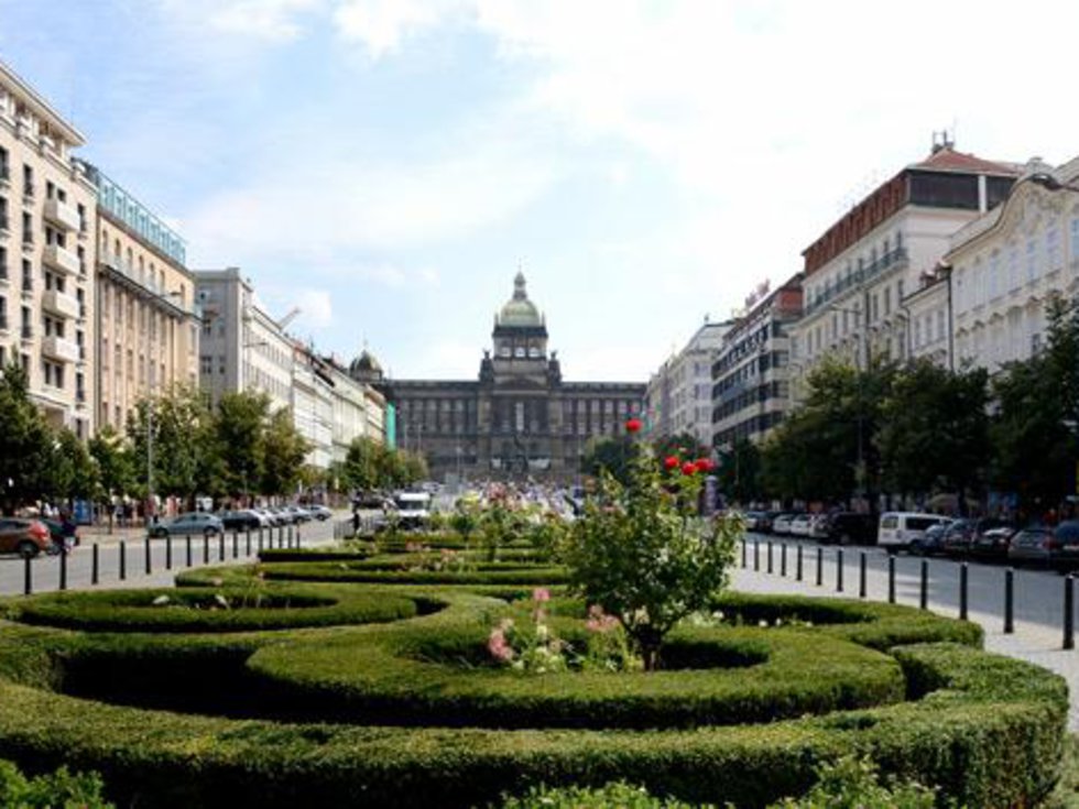 Pronájem pokoje 15 m², Vysoké Veselí