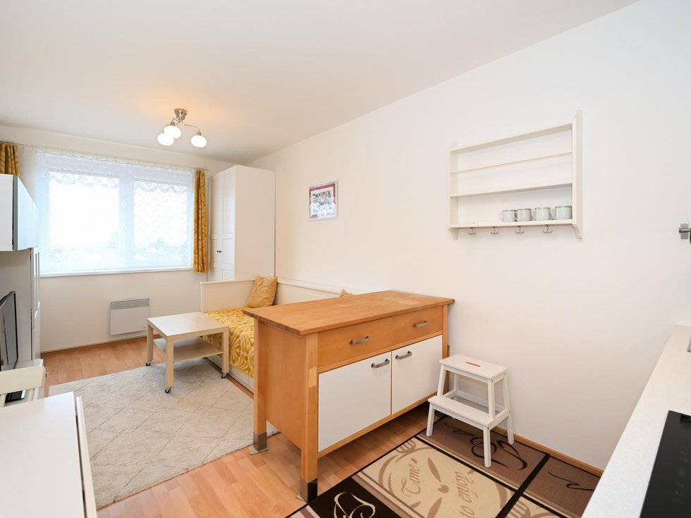 Pronájem bytu 1+kk, garsoniery 25 m², Praha