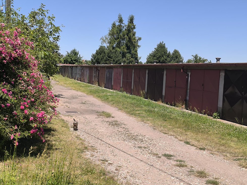 Pronájem garáže 18 m², Hradec Králové