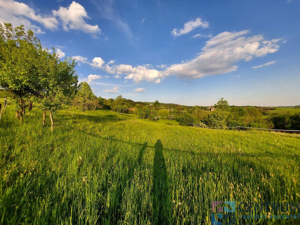 Prodej louky 1942 m², Libuň