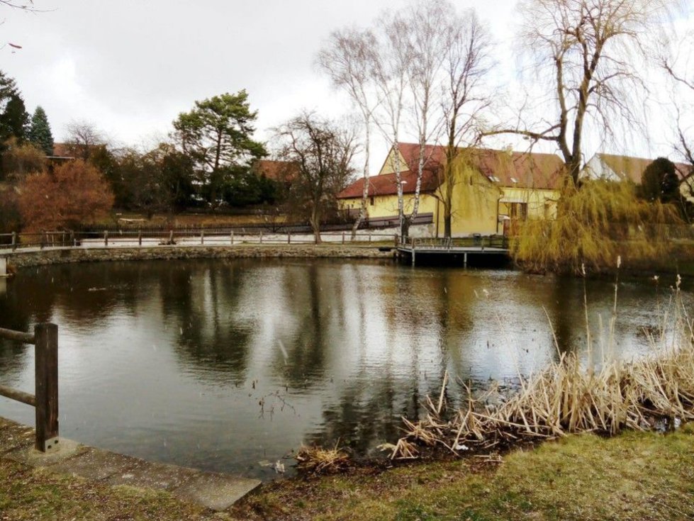 Prodej stavební parcely 1252 m², Dolní Břežany