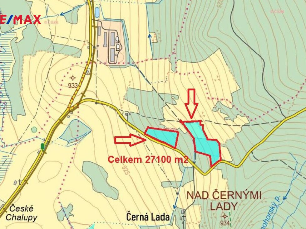 Prodej lesa 13934 m², Borová Lada