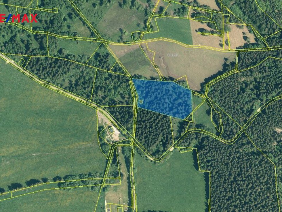 Prodej lesa 13934 m², Borová Lada