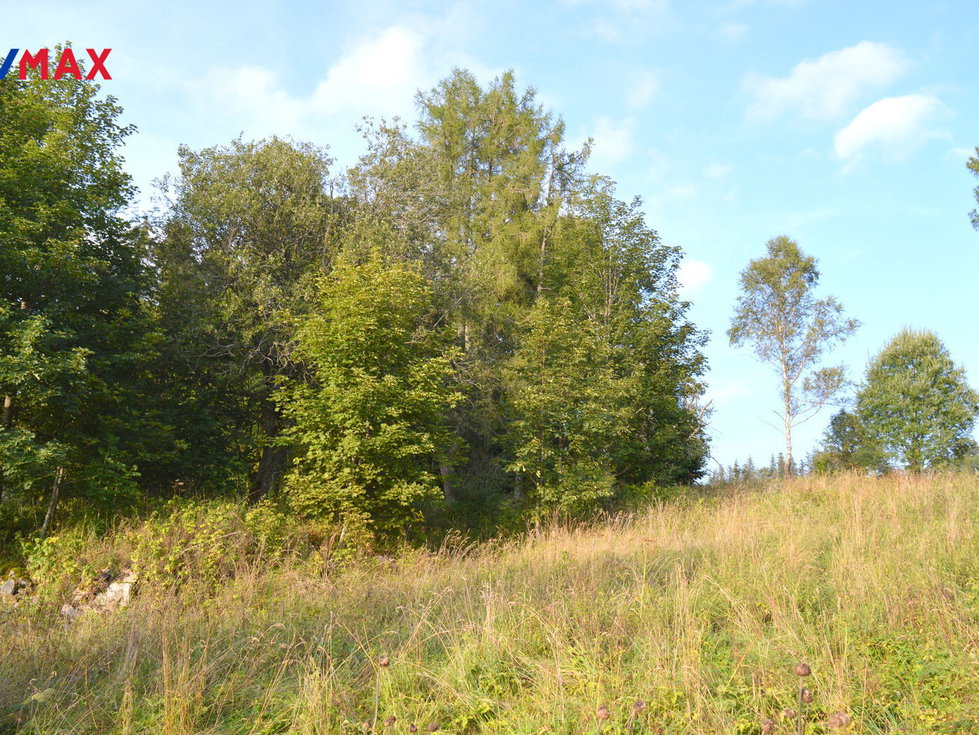 Prodej ostatních pozemků 8040 m², Borová Lada