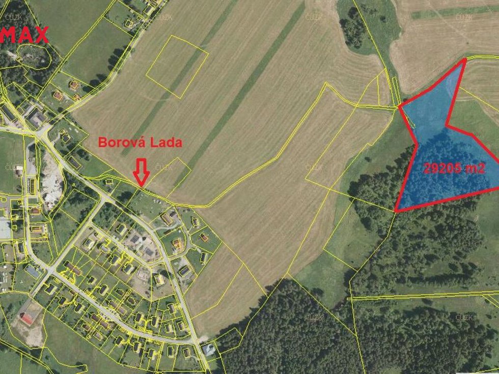 Prodej lesa 29205 m², Borová Lada