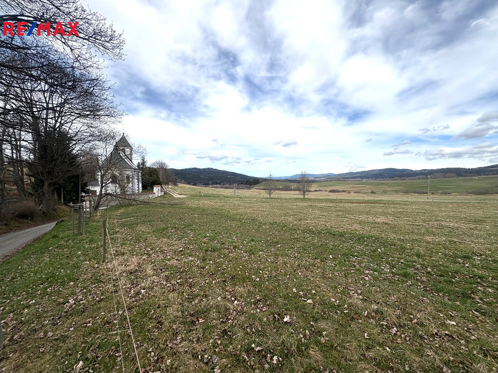 Prodej louky 5030 m², Želnava