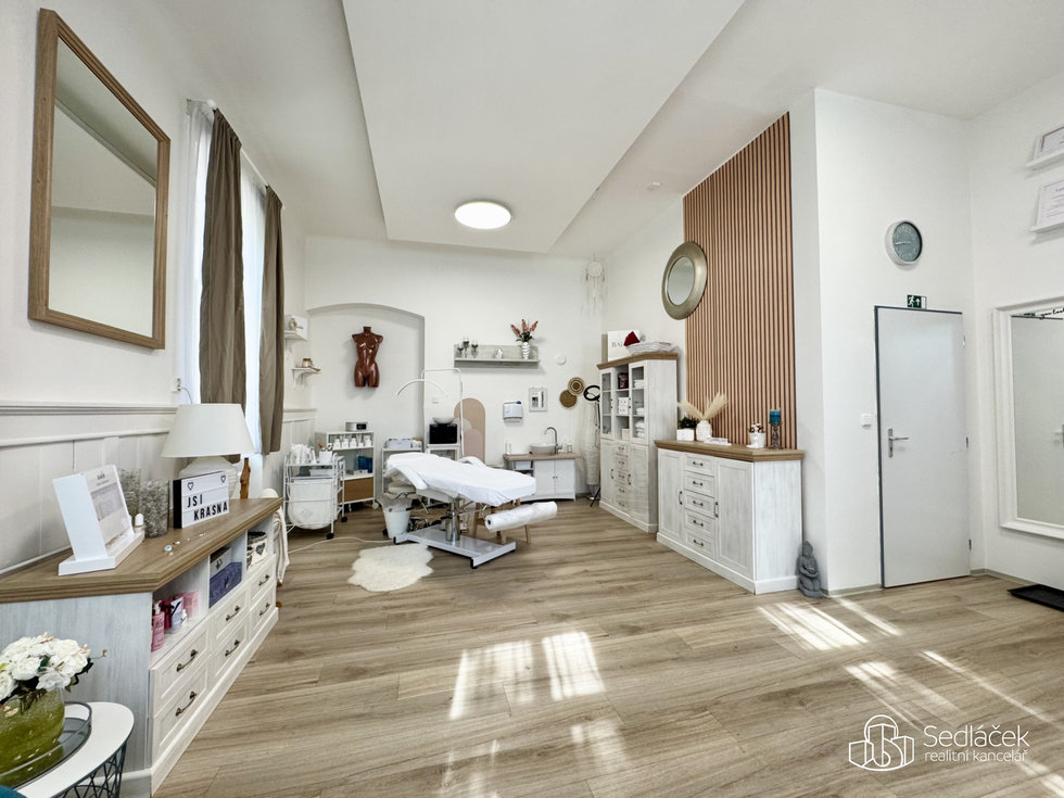 Pronájem Ostatních komerčních prostor 50 m², Sokolov