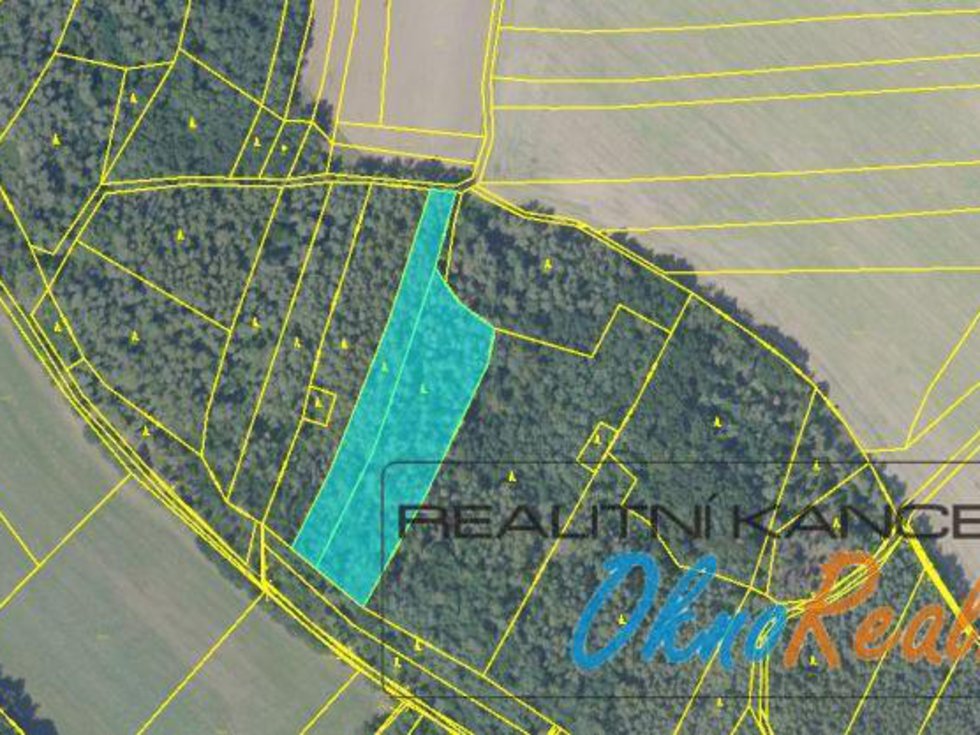 Prodej lesa 8452 m², Týnec nad Labem