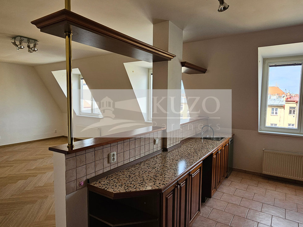 Pronájem bytu 2+kk 73 m², Praha