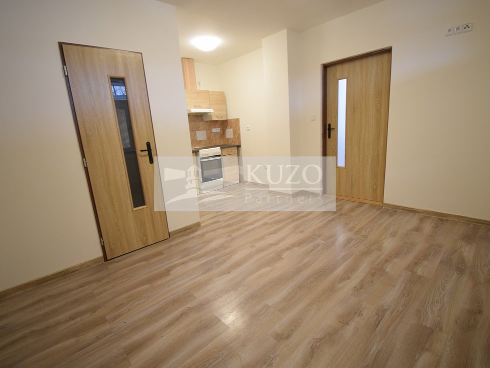 Pronájem bytu 1+1 42 m², Březová