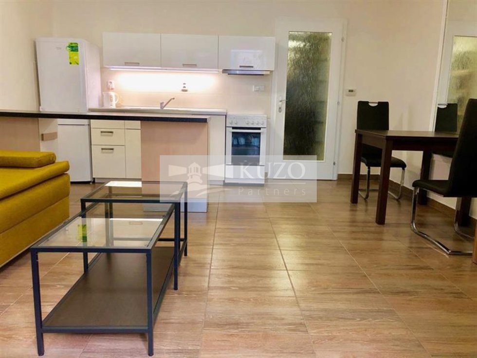 Pronájem bytu 1+kk, garsoniery 37 m², Brno