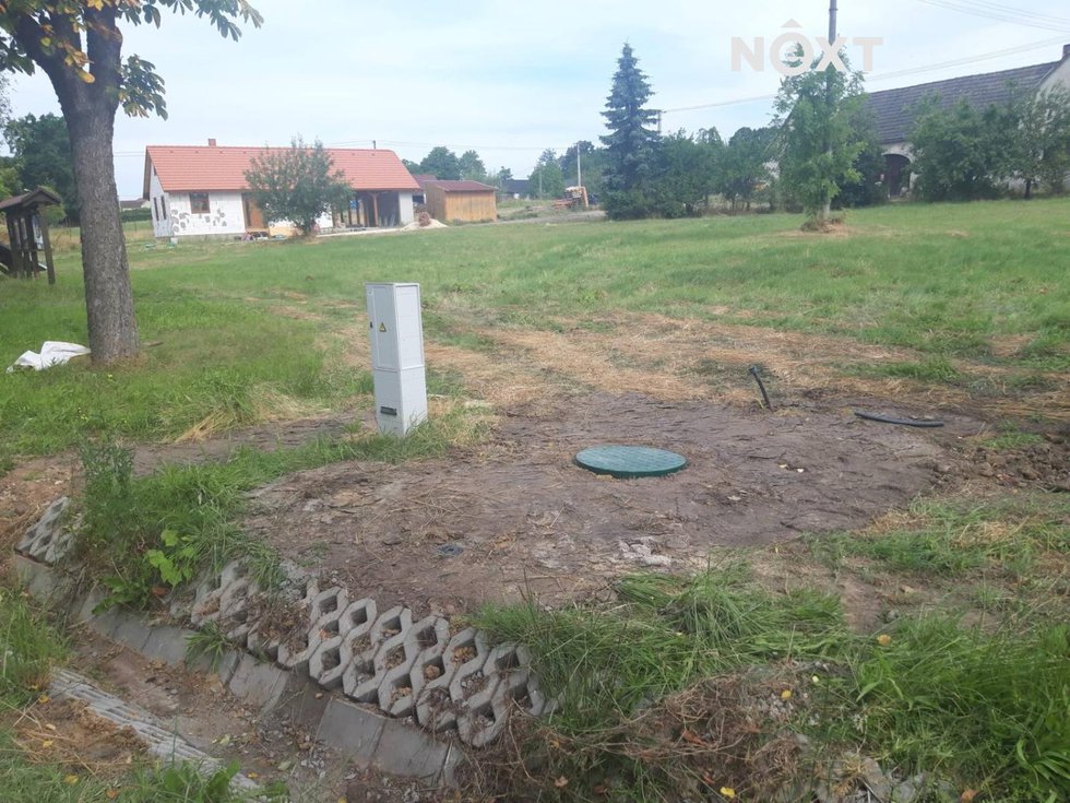 trapl-4.1711558845.jpg