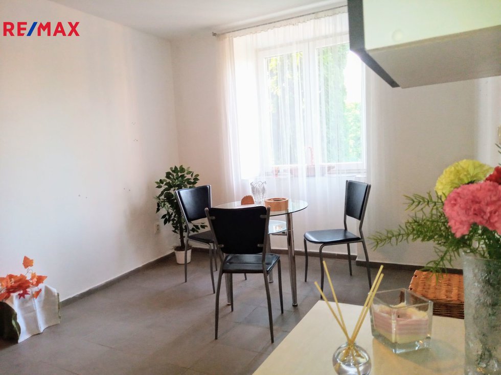 Prodej bytu 1+1 40 m², Velké Březno