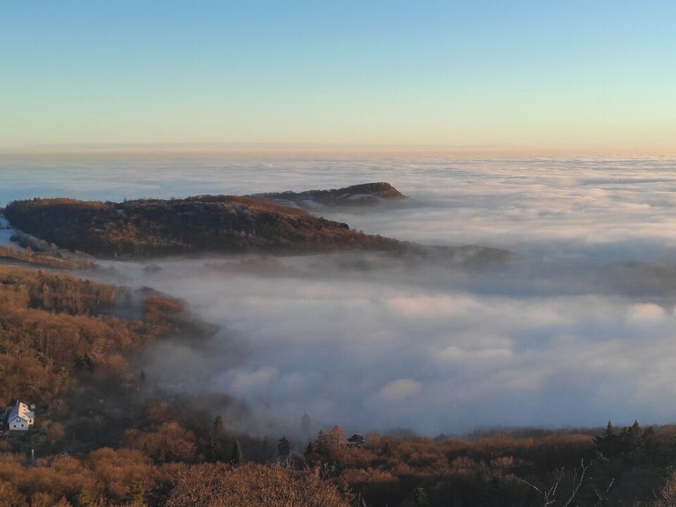 Prodej stavební parcely 3395 m², Malečov